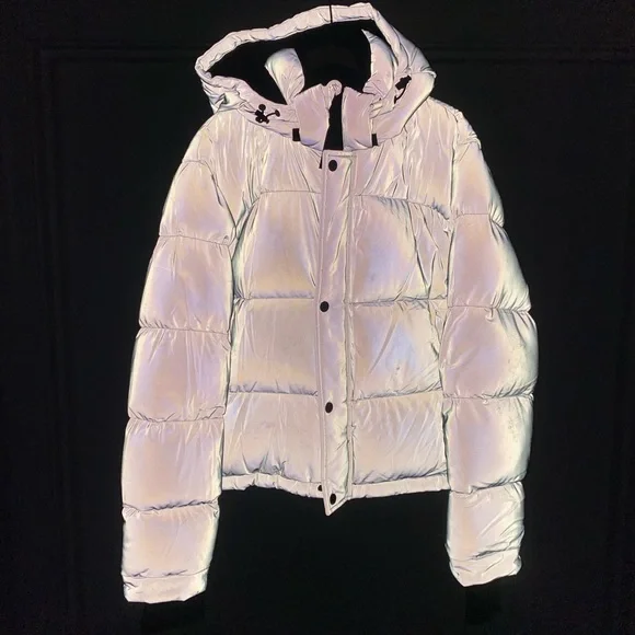 The Aritzia Super Puff Shorty in the Reflective Silver Color - Picture 4 of 5